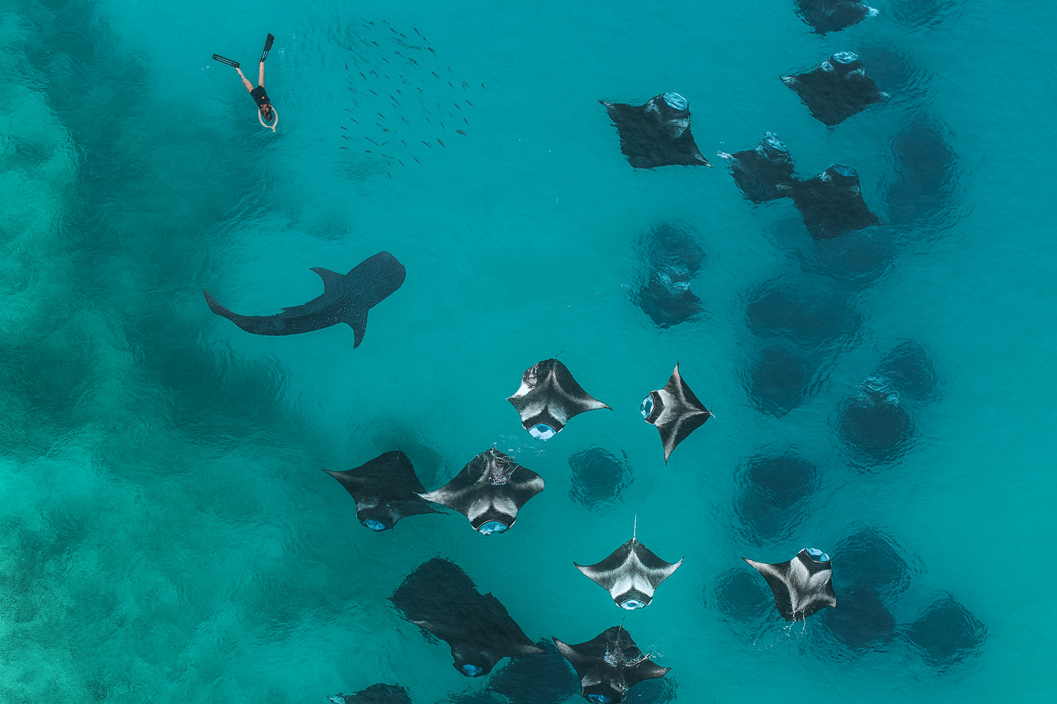 A boat crossing the turquoise water of Baa Atoll